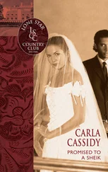 Carla Cassidy - Promised To A Sheikh