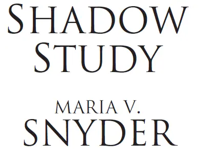 Shadow Study - изображение 1