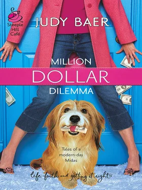 Judy Baer Million Dollar Dilemma обложка книги