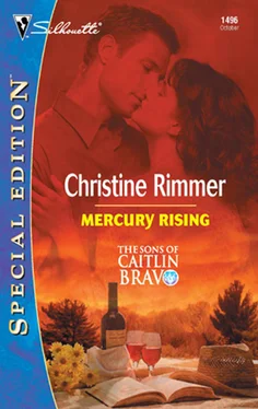 Christine Rimmer Mercury Rising обложка книги