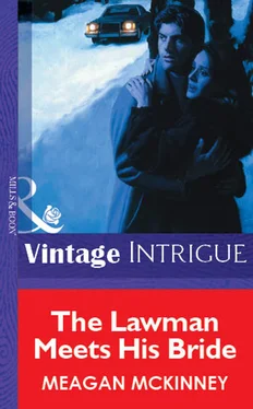 Meagan McKinney The Lawman Meets His Bride обложка книги