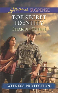 Sharon Dunn Top Secret Identity обложка книги