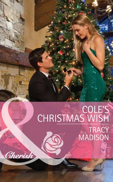 Tracy Madison Cole's Christmas Wish обложка книги