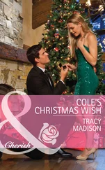 Tracy Madison - Cole's Christmas Wish