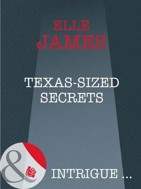 Elle James Texas-Sized Secrets обложка книги