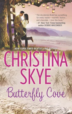 Christina Skye Butterfly Cove обложка книги