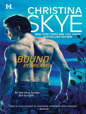 Christina Skye Bound by Dreams обложка книги