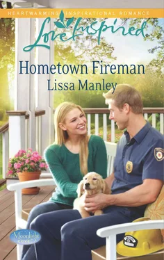 Lissa Manley Hometown Fireman обложка книги