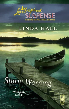 Linda Hall Storm Warning обложка книги