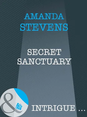 Amanda Stevens Secret Sanctuary обложка книги