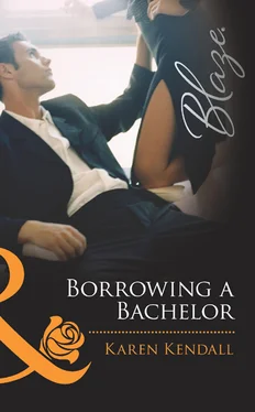 Karen Kendall Borrowing a Bachelor обложка книги