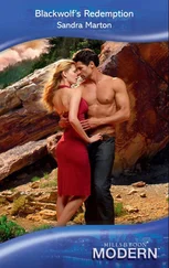 Sandra Marton - Blackwolf's Redemption