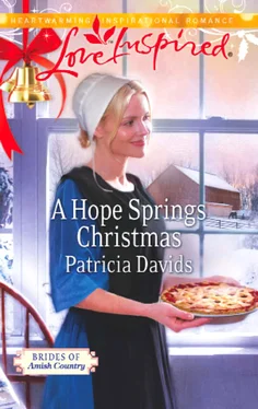 Patricia Davids A Hope Springs Christmas обложка книги
