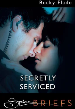 Becky Flade Secretly Serviced обложка книги