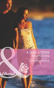 Terry Mclaughlin A Small-Town Temptation обложка книги