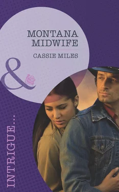 Cassie Miles Montana Midwife обложка книги