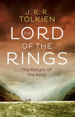 J. R. R. Tolkien The Return of the King обложка книги