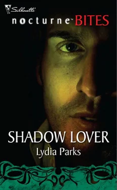 Lydia Parks Shadow Lover обложка книги
