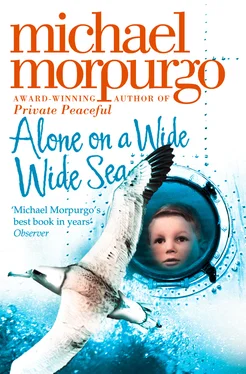 Michael Morpurgo Alone on a Wide Wide Sea обложка книги