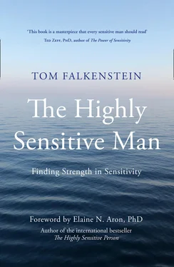 Tom Falkenstein The Highly Sensitive Man обложка книги