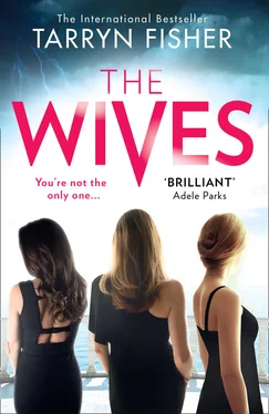 Tarryn Fisher The Wives обложка книги