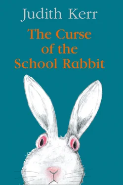 Judith Kerr The Curse of the School Rabbit обложка книги