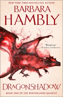 Barbara Hambly Dragonshadow обложка книги