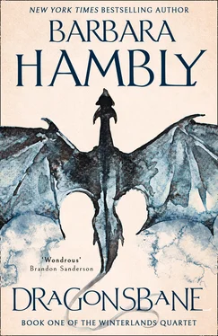 Barbara Hambly Dragonsbane обложка книги
