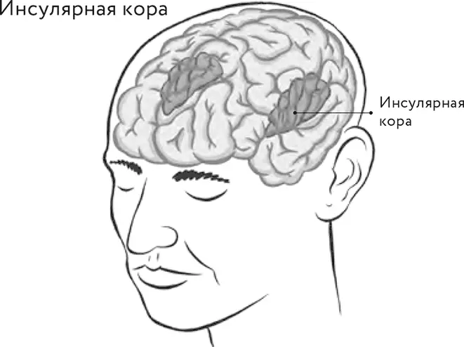 Лечащий врач пациентки озадачен поскольку результаты компьютерной томографии - фото 4