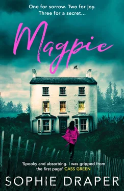 Sophie Draper Magpie обложка книги