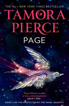 Tamora Pierce Page обложка книги
