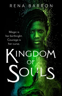 Rena Barron Kingdom of Souls обложка книги