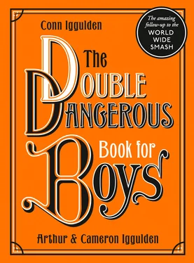 Conn Iggulden The Double Dangerous Book for Boys обложка книги