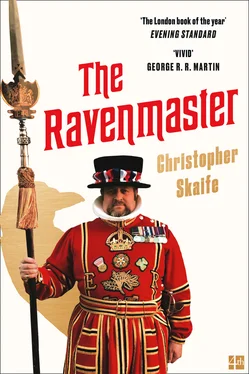 Christopher Skaife The Ravenmaster обложка книги