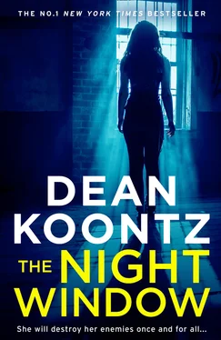 Dean Koontz The Night Window обложка книги
