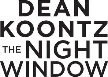 The Night Window - изображение 1