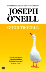 Joseph O’Neill - Good Trouble