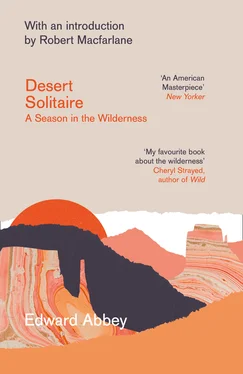 Edward Abbey Desert Solitaire обложка книги