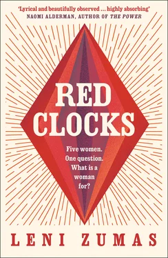 Leni Zumas Red Clocks обложка книги