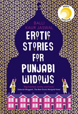 Balli Kaur Jaswal Erotic Stories for Punjabi Widows обложка книги