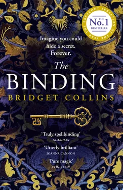 Bridget Collins The Binding обложка книги