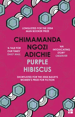 CHIMAMANDA NGOZI ADICHIE Purple Hibiscus обложка книги