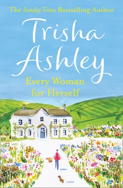 Trisha Ashley Every Woman For Herself обложка книги