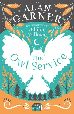 Alan Garner The Owl Service обложка книги