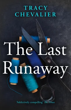 Tracy Chevalier The Last Runaway обложка книги