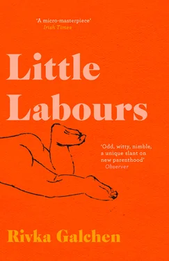 Rivka Galchen Little Labours обложка книги
