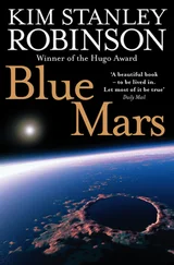 Kim Stanley Robinson - Blue Mars