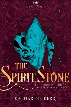 Katharine Kerr The Spirit Stone обложка книги