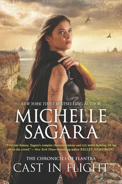 Michelle Sagara Cast In Flight обложка книги