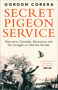 Gordon Corera Secret Pigeon Service обложка книги